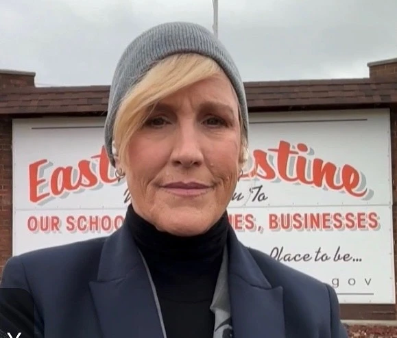 Erin Brockovich Biographical Information