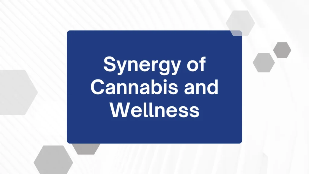 The Synergy of Cannabis and Wellness A New Lifestyle Trend