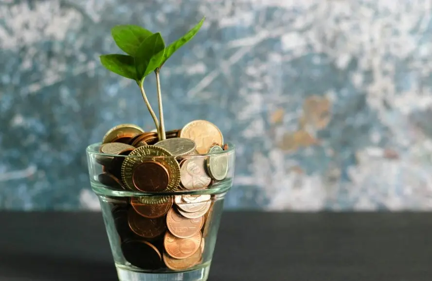 Beginner’s Guide to Money Simple Steps to Take Control of Your Finances