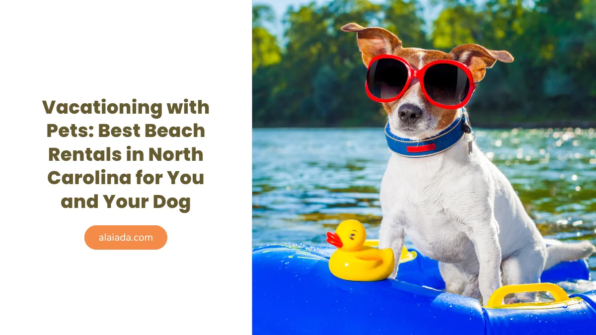 Vacationing with Pets Best Beach Rentals in North Carolina for You and Your Dog