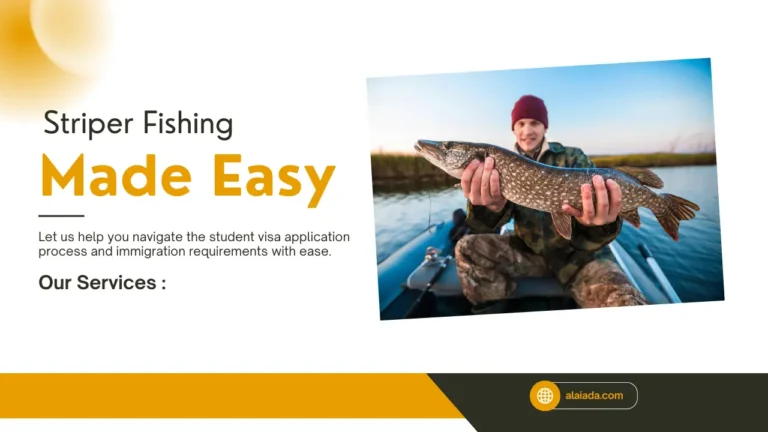 Essential Gear, Spots, and Winning Tactics.webp