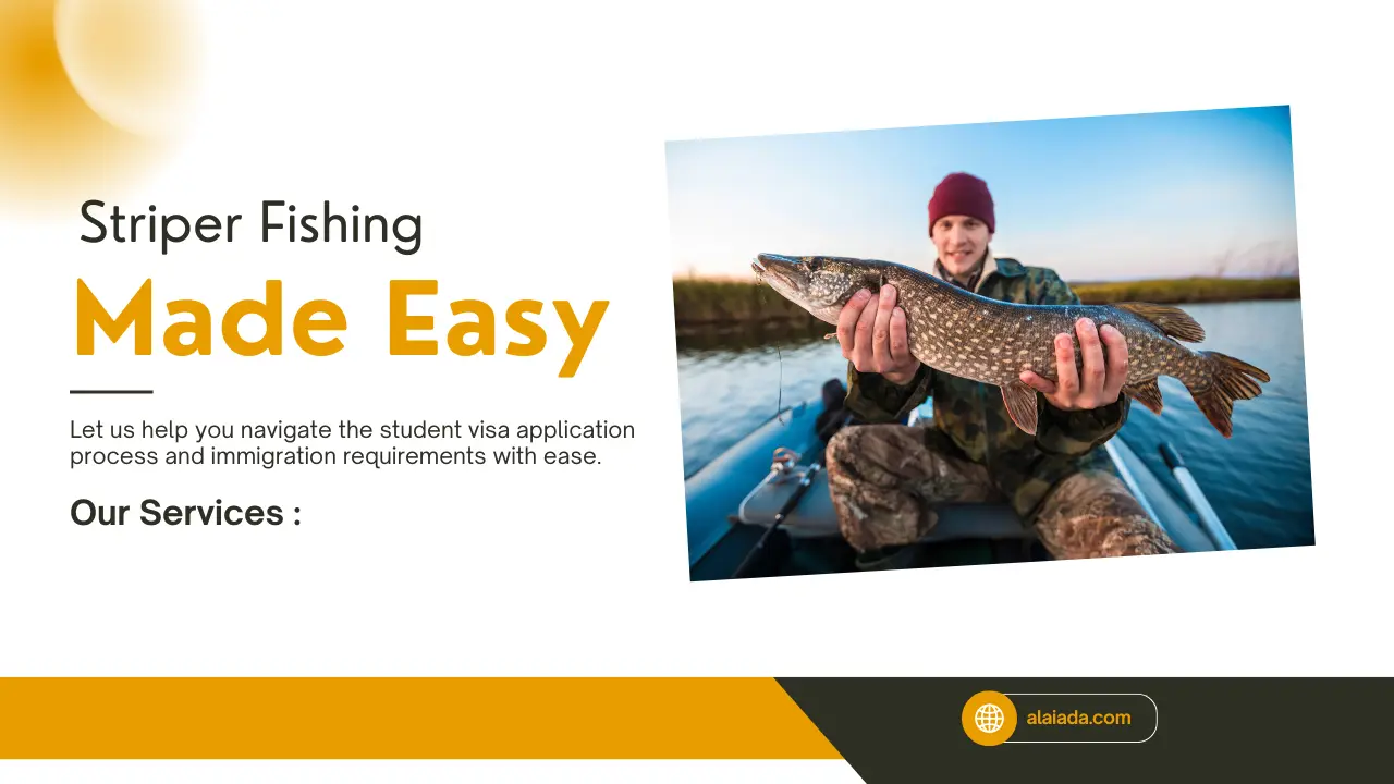 Essential Gear, Spots, and Winning Tactics.webp