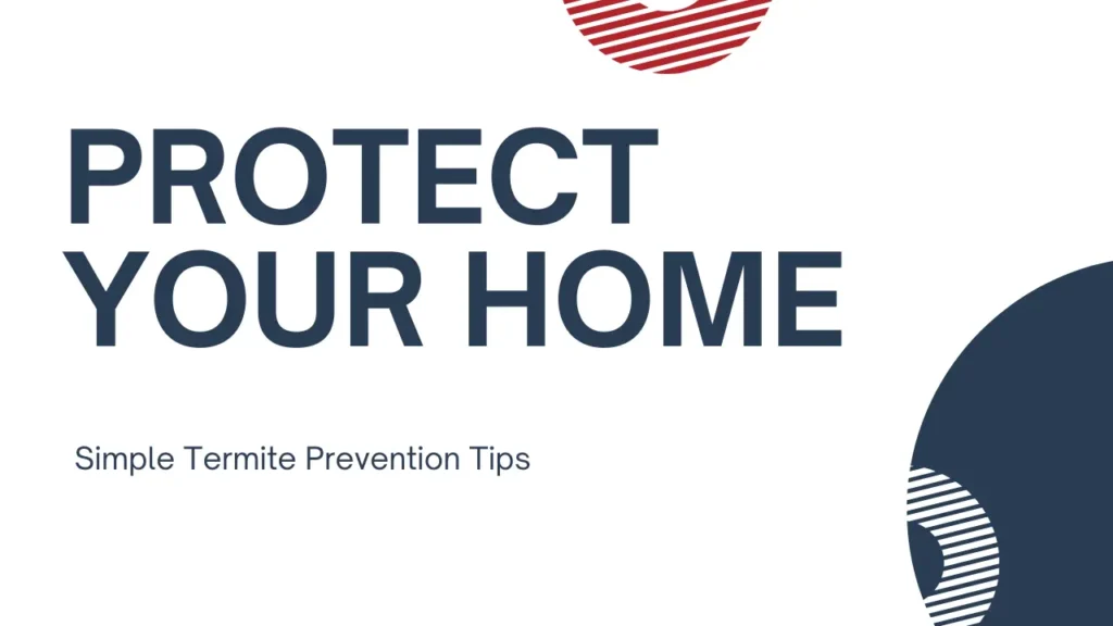 Protect Your Home: Simple Termite Prevention Tips