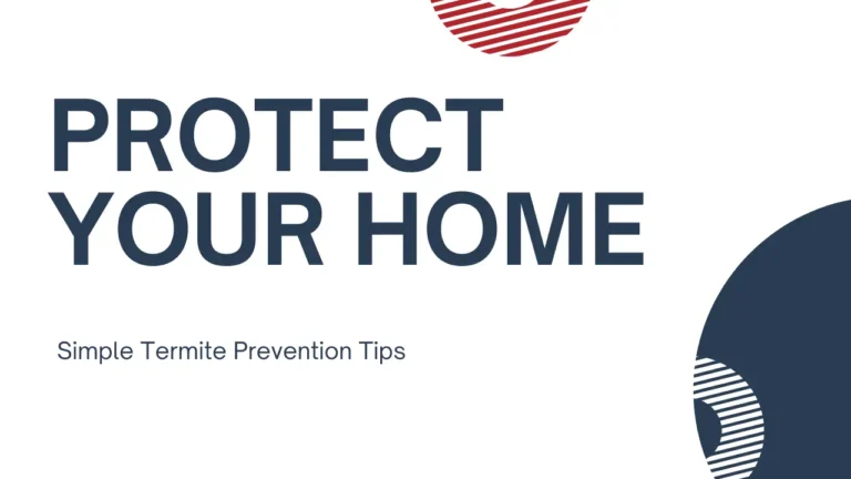 Protect Your Home: Simple Termite Prevention Tips