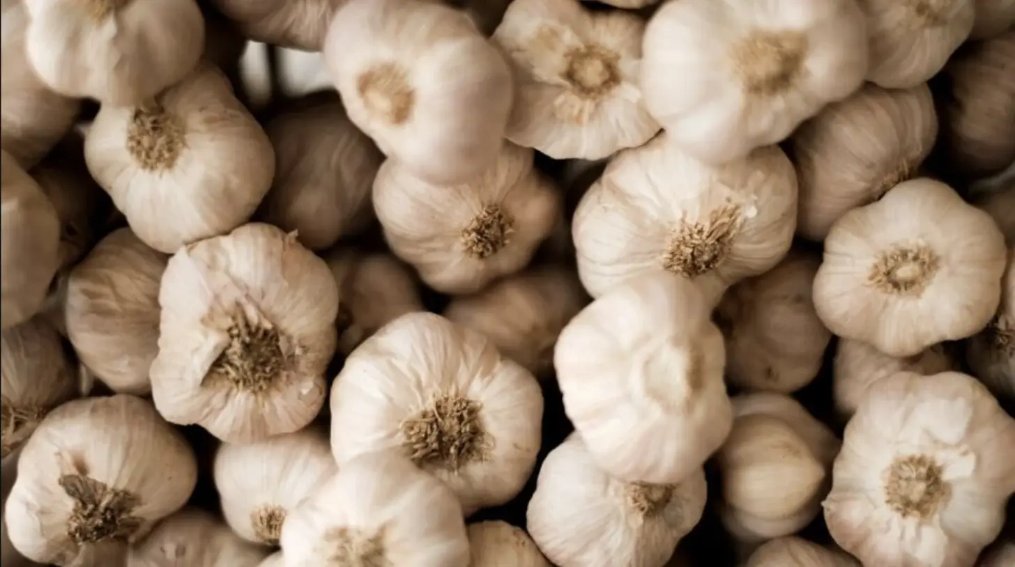 Top Health Benefits of Garlic for Wellness and Immunity