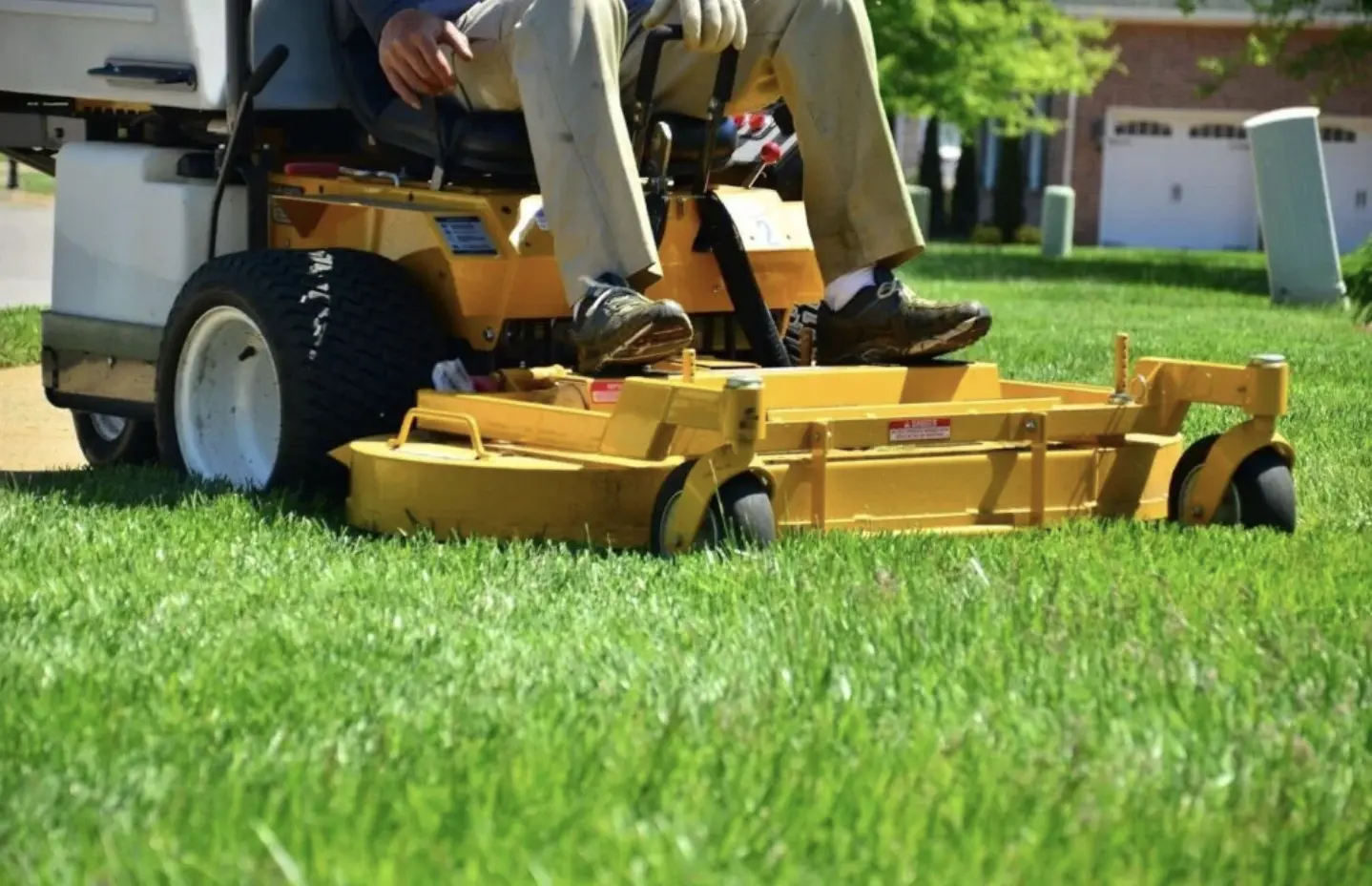 Lawn Care Essentials Every Homeowner Needs for Easy Upkeep